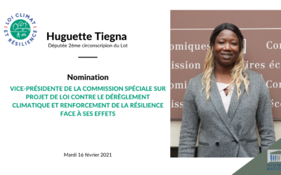 Huguette Tiegna nommée Vice-Présidente de la commission spéciale